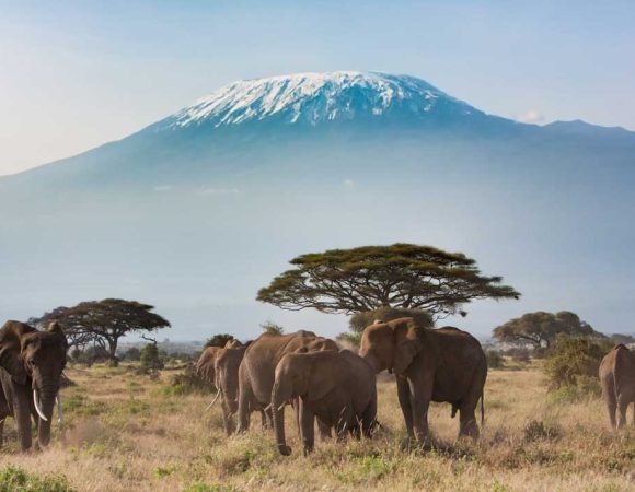 Marangu route 5 days trekking mount Kilimanjaro plus 2 overnights in Moshi