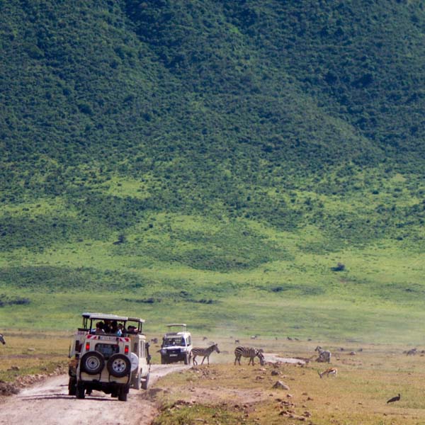 Ngorongoro Crater Day Trip
