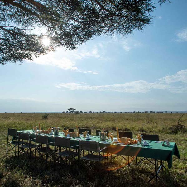 Luxury Serengeti balloon safari experience Tanzania