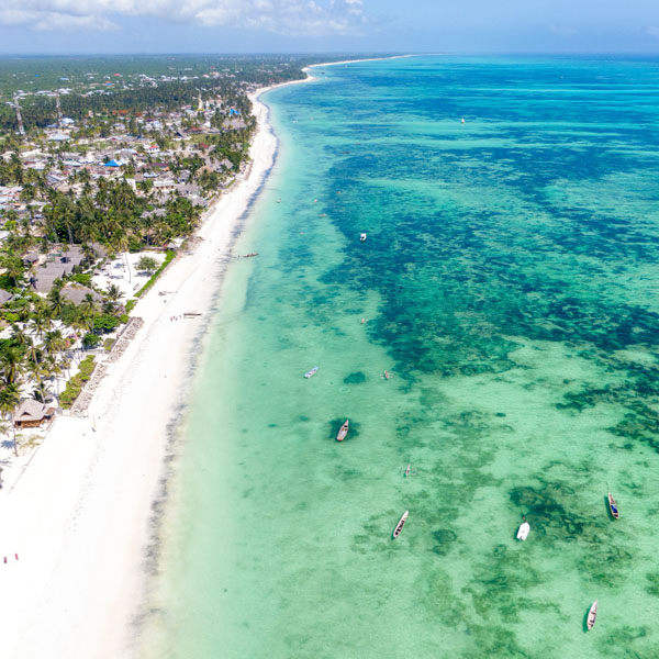 Snorkeling in crystal-clear waters of Zanzibar near Prison Island