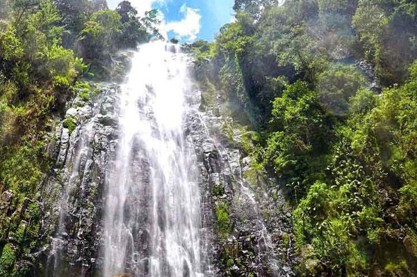 Tourists swimming in the natural pool at the base of Materuni Waterfall