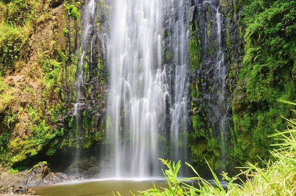 Exploring the scenic trails through Chagga coffee farms