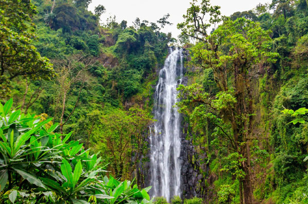 Travelers learning traditional coffee grinding with local Chagga women